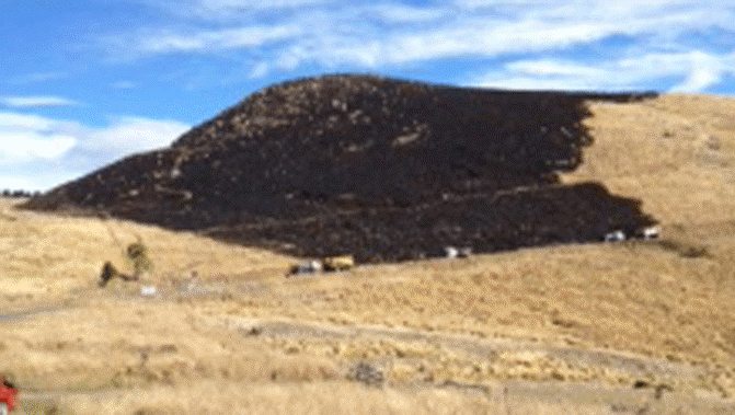 Burnt land in the Port Hills - supplied 