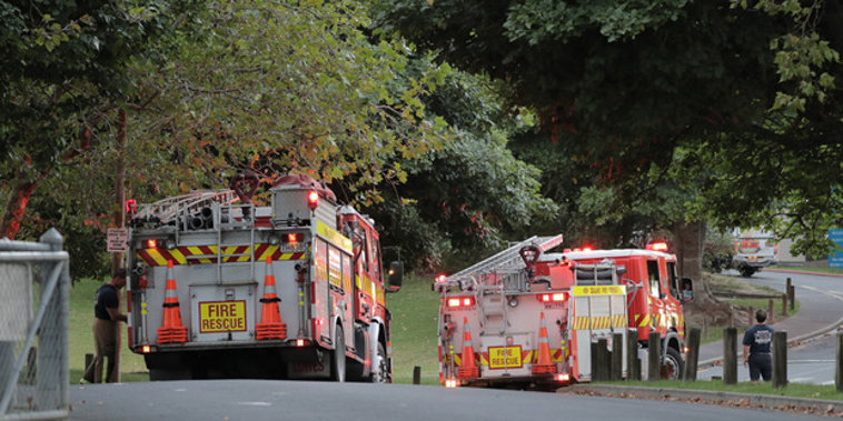 Fire crews at Long Bay College this morning. Photo / Michael Craig