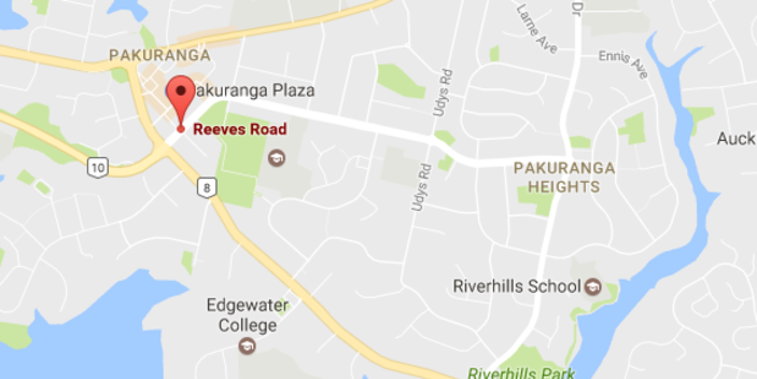 A specialist fire investigator is on their way to find what started a blaze at bottle store and pub in Pakuranga. (Google Maps)