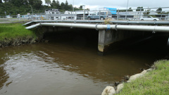 Fancy a swim? The Kopurererua Stream in Tauranga. Photo / John Borren