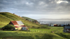 The Chatham Islands are among the communities who qualify for the scheme. (Ville Miettinen)