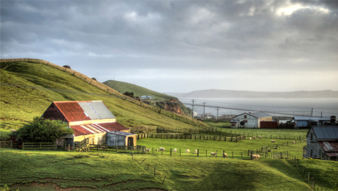 The Chatham Islands are among the communities who qualify for the scheme. (Ville Miettinen)