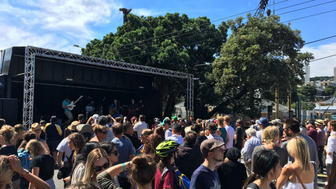 The crowd at Wellington's Newtown festival (Georgina Campbell).