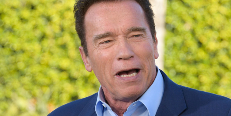 Arnold Schwarzenegger's name is circulating as a potential Senate candidate in 2018 (Getty Images)