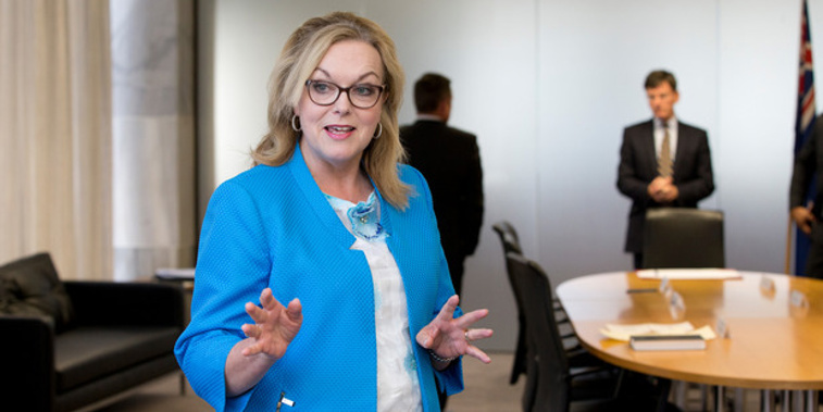 Energy Minister Judith Collins. Photo / Mark Mitchell