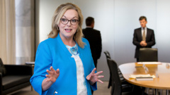 Energy Minister Judith Collins. Photo / Mark Mitchell