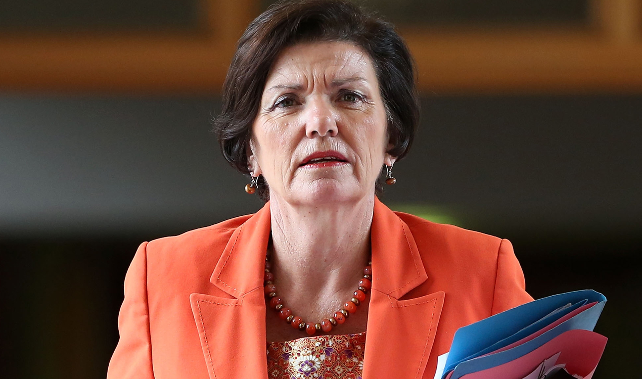 Minister Anne Tolley spoke with Mike Hosking (Photo / Mark Mitchell)