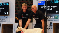 Prime Minister Bill English's shearing stunt with Sir David Fagan was his best publicity stunt yet, an expert says. (NZH)