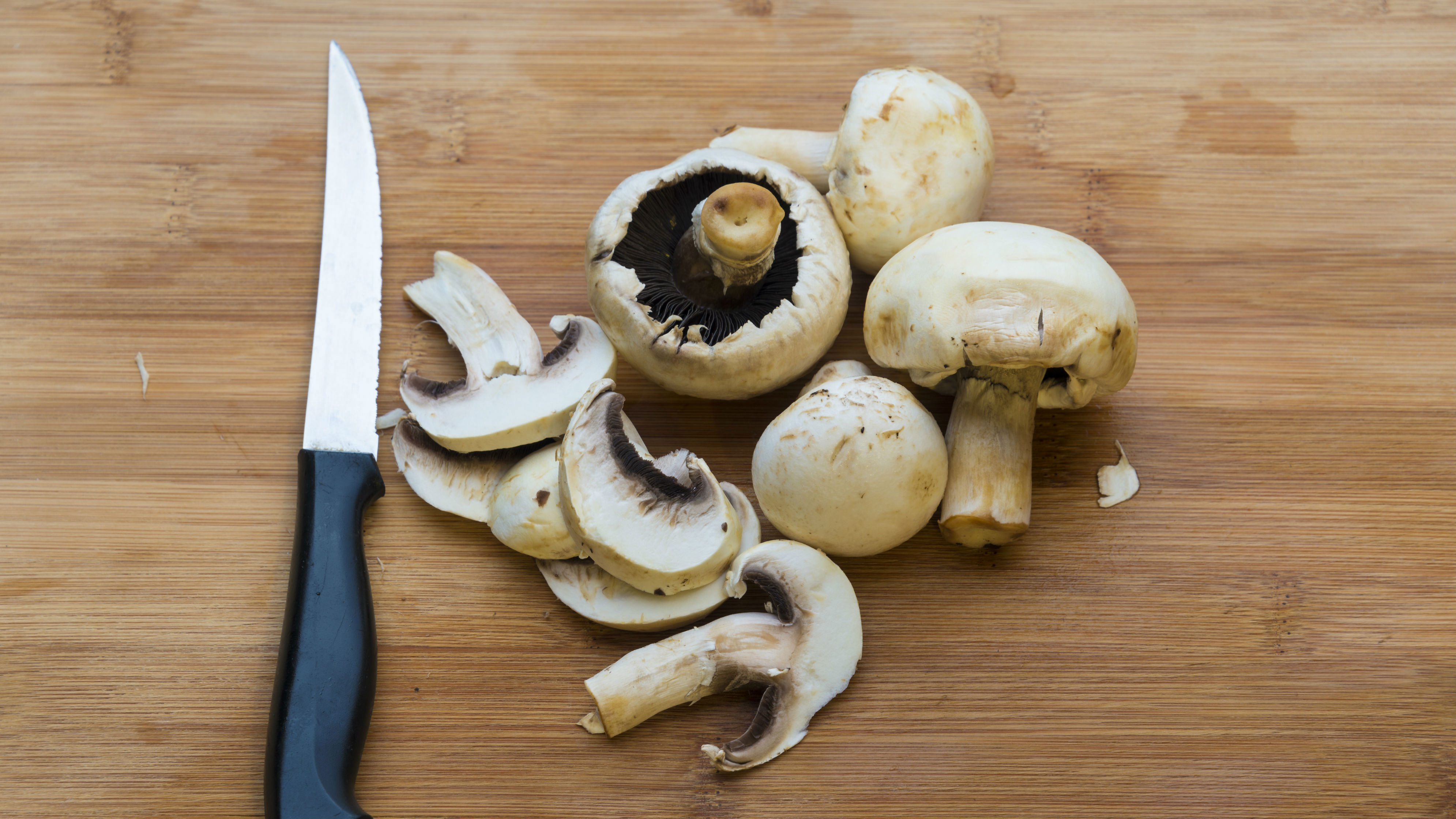 Erin O'Hara: naturopath and wellness expert on the health benefits of mushrooms