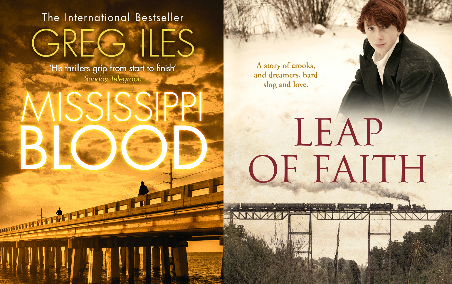 Joan's Picks: Mississippi Blood, Leap of Faith