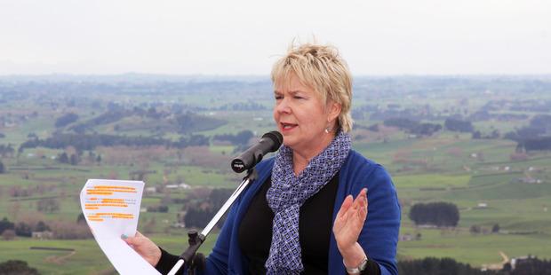 Associate Health Minister Nicky Wagner has been strongly critical of IHC. (NZ Herald) 