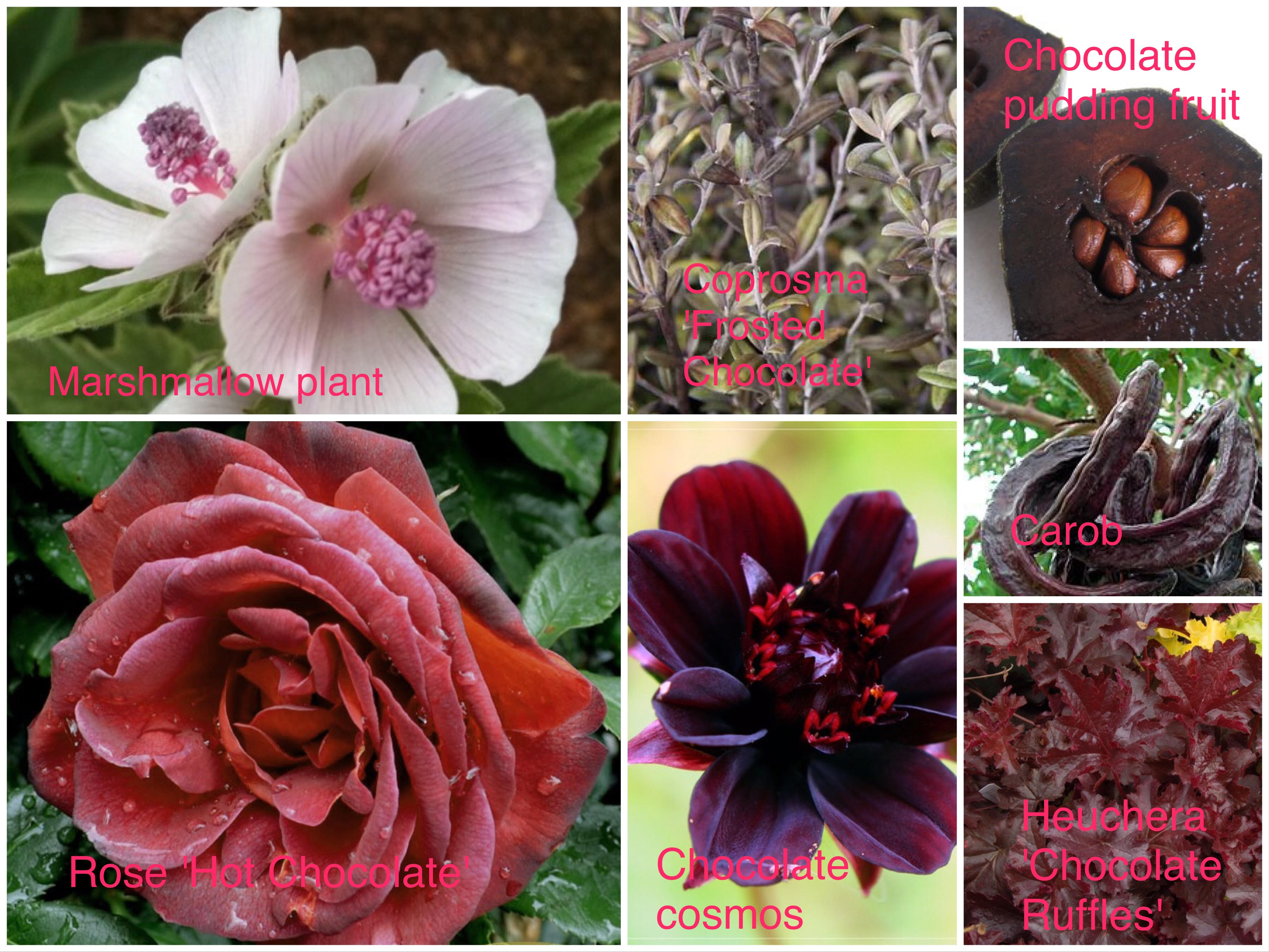 home and garden
