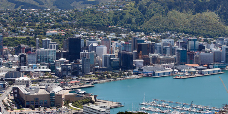 Wellington city councillors have approved a new Wellington Town Belt management plan. (Mark Mitchell)