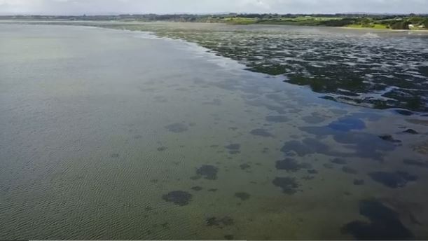 Police are set to retrieve the dinghy a father and his daughter were swept from in Auckland's Manukau Harbour. (NZ Herald)