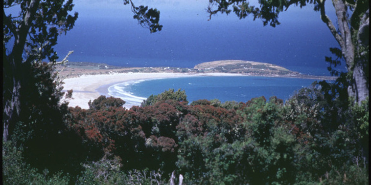 The young woman is recovering from moderate leg injuries after she was attacked while surfing at Porpoise Bay in the Catlins (File photo - NZ Herald)