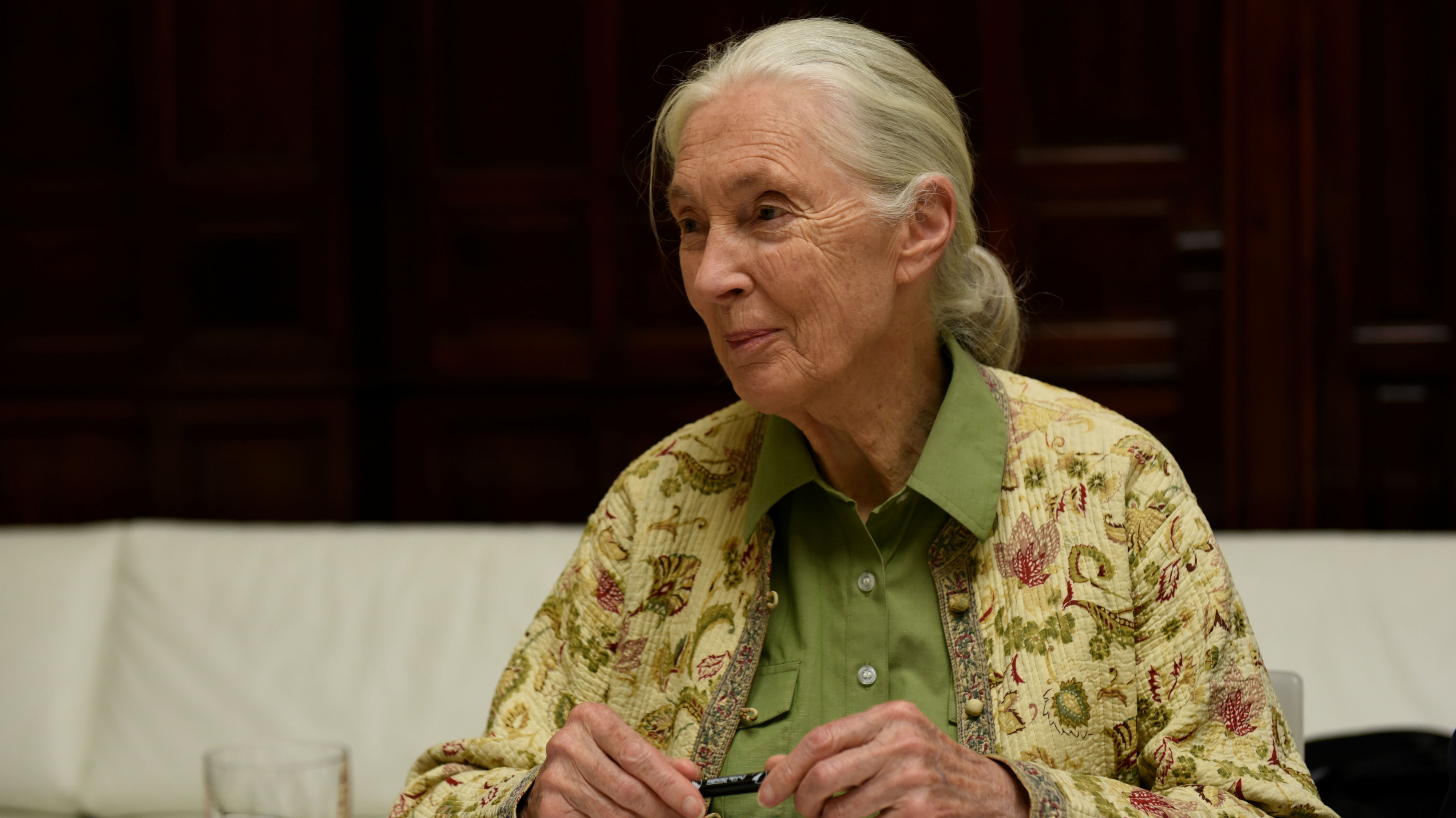 Dr Jane Goodall (Photo / Getty Images)