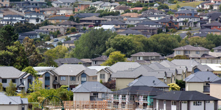 Photo / NZ Herald