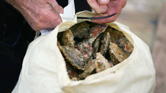 A prominent Bluff oysterman says MPI should have put in security measures straight away when they found a parasite amongst oysters. (Getty)