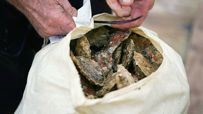 A prominent Bluff oysterman says MPI should have put in security measures straight away when they found a parasite amongst oysters. (Getty)