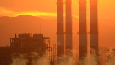 Jenee Tibshraeny: NZ Herald Wellington business editor on the Government changing climate disclosure rules for big companies