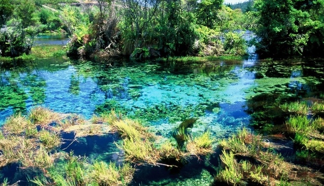 Te Waikoropupu Springs, near Nelson, is believed to be one of the clearest water bodies in the world. (Supplied/Latitude Nelson)