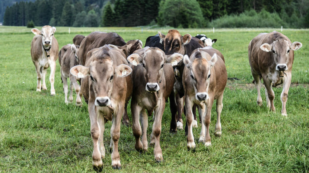 Photo \ Getty Images