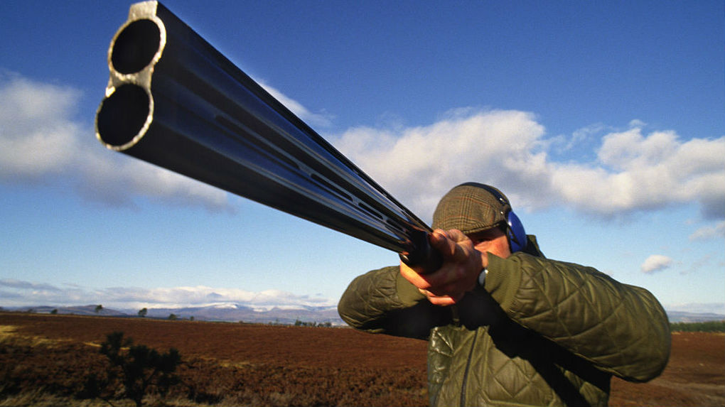 Photo / Getty Images