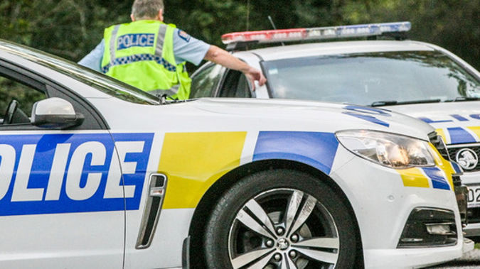 NZ Police (Photo / NZH)