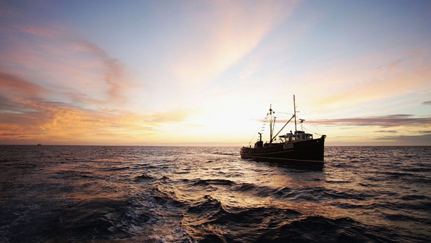 The first flat oysters will be stripped from farms on Stewart Island tomorrow. (Getty)