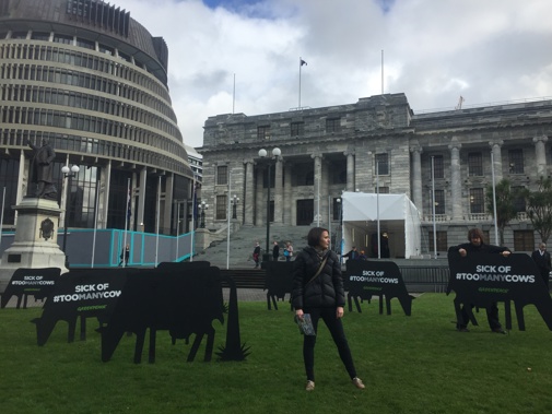 The wooden cows on the lawns of Parliament (Photo / Gia Garrick)