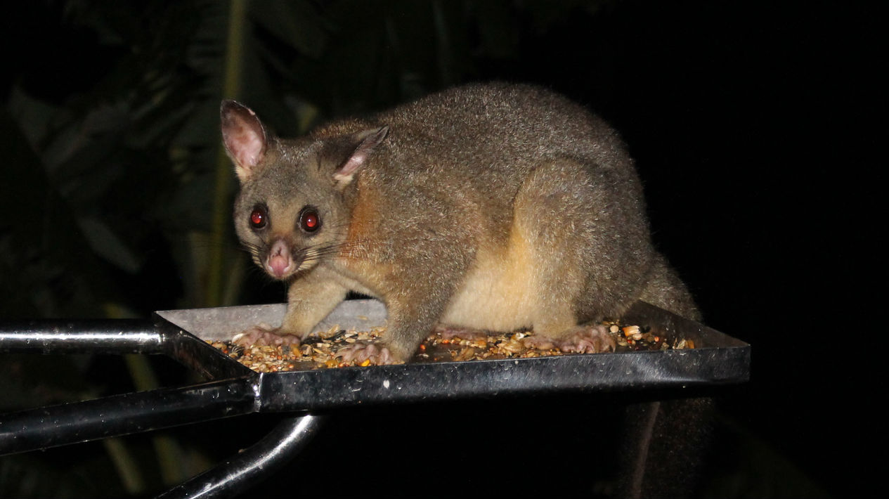 (Photo \ Getty Images)