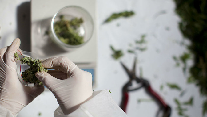 All six MPs agreed on one thing, prohibition isn't working. (Photo \ Getty Images)