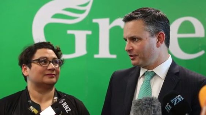 Greens co-leaders James Shaw and Metiria Turei (NZ Herald) 