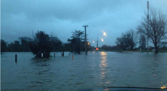 (Photo / Katherine Williams)