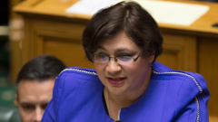 Metiria Turei says she isn't encouraging people to break the law, rather she's  trying to tell people what it's like to be in such a situation. (Photo \ NZ Herald)