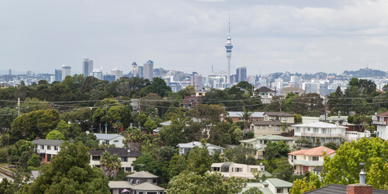 Photo / NZ Herald