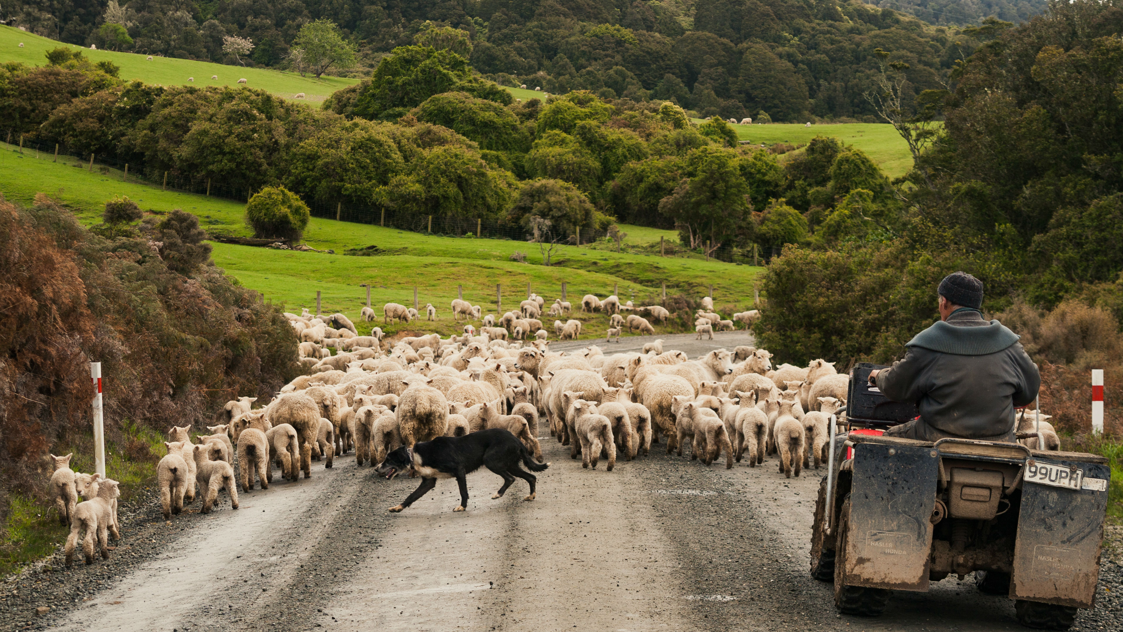  (Photo \ Getty Images)
