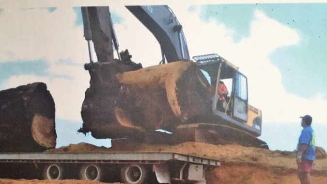 Industry insider claims search for swamp kauri caused pipe to burst (Photo / NZ Herald)