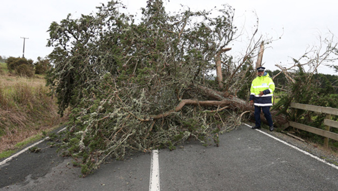 Northwest winds are gusting up to 130 kilometres. (Photo \ NZ Herald)