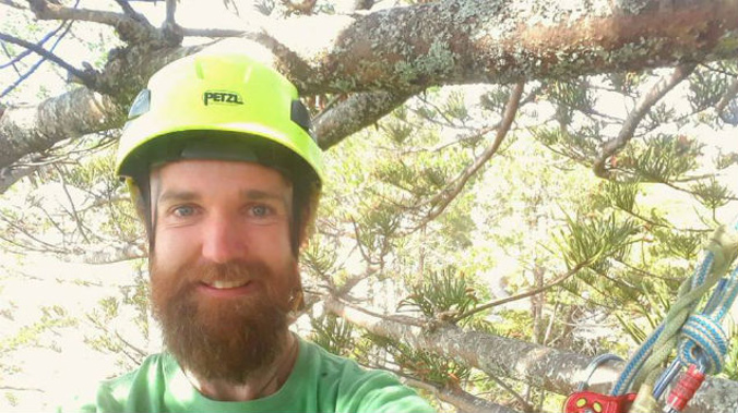 Charlie Cottrell-Jury says he has a hammock and is prepared to stay the night in the tree (Photo: Supplied/NZ Herald)
