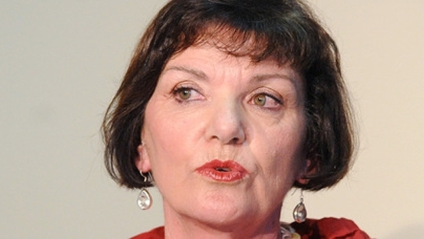11. Hon Anne Tolley - Minister for Social Development (NewspixNZ/NZ Herald)
