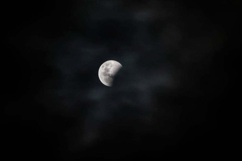 The eclipse beginning in Auckland (Edward Swift)