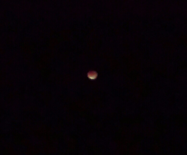 The eclipse in Lower Hutt (Sam Bradley)