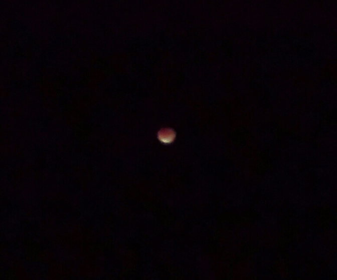 The eclipse in Lower Hutt (Sam Bradley)