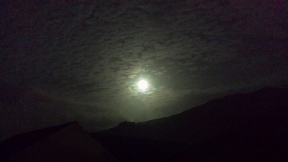 Before the eclipse in Lower Hutt (Sam Bradley)