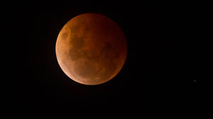 PHOTOS: Lunar eclipse - 8 October 2014