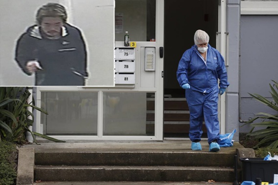 Michael David Mulholland, 69, was killed in a block of flats in Auckland's Western Springs. (Photo \ NZ Herald)