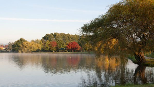 Masterton Mayor Lyn Patterson said it was a great result for the region. (Photo: Henley Lake, Masterton District Council)