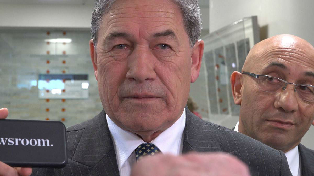 Any govt with Winston 'doomed to fail': Dunne