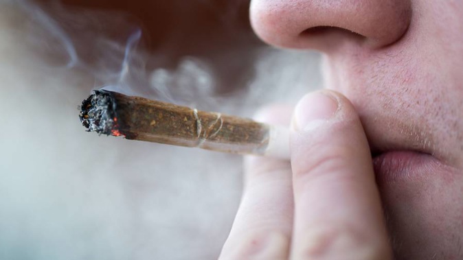 Kiwis could have a referendum on personal use cannabis laws. 